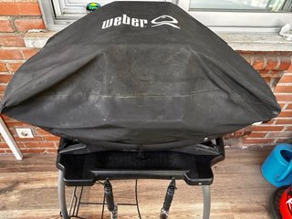 Barbacoa de gas Weber Q200