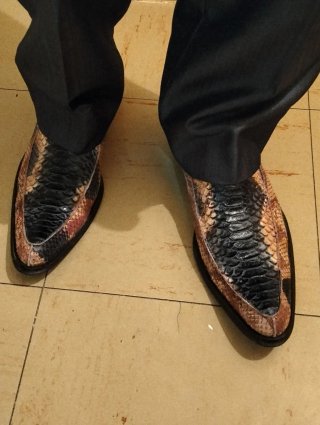 Zapatos y cinturón de piel exótica