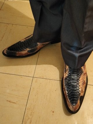 Zapatos y cinturón de piel exótica