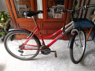 Regalo Bicicleta infantil Prometheus 18 y 14