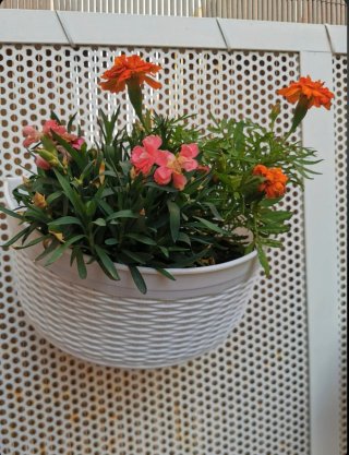 Fioriere sospese in resina Rattan bianco