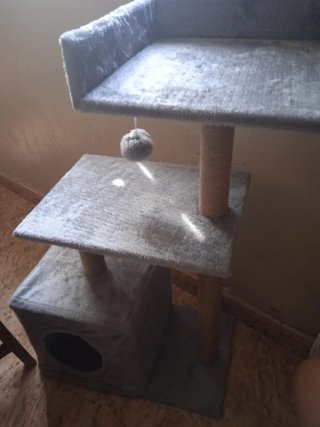 Árbol rascador para gatos sin uso solo montado