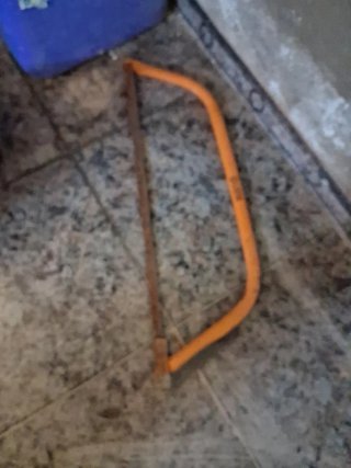 Serrucho naranja