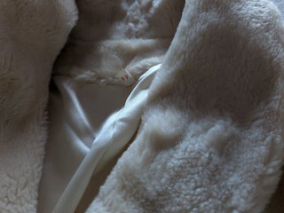Cappotti beige e nero