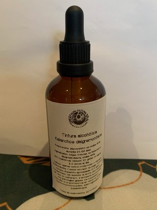 Tintura Kalanchoe Daigremontiana 100ml