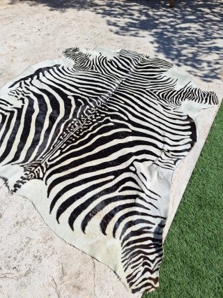 Alfombra Piel de vaca teñido de Cebra Natural MARC