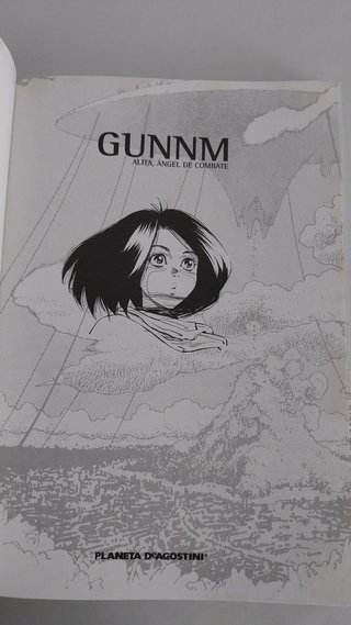 Colección Gunnm Alita angel de combate - Completa