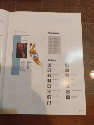 Anatomia Del Perro Protocolos de Diseccion