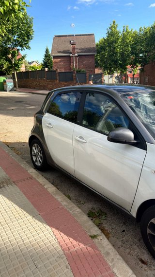 smart forfour 2019