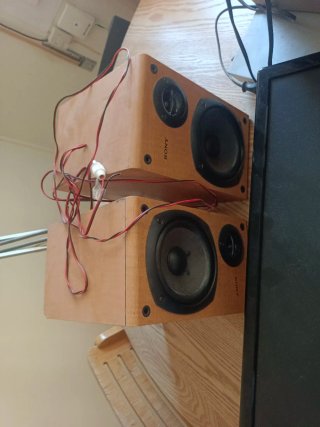 Pantalla TV Acer, Altavoces Sony y Equipo