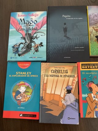 LOTE LIBROS LITERATURA JUVENIL