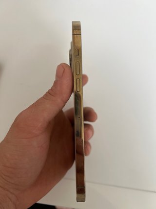 iPhone 13 Pro Max 256 GB Oro/Argento
