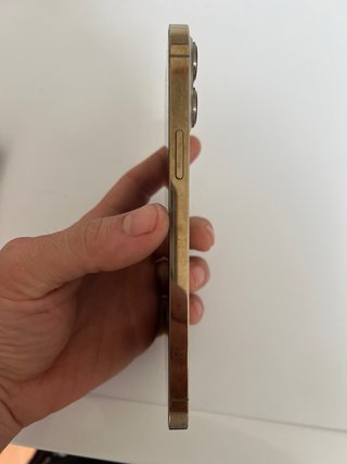 iPhone 13 Pro Max 256 GB Oro/Argento