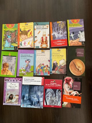LOTE LIBROS LITERATURA JUVENIL