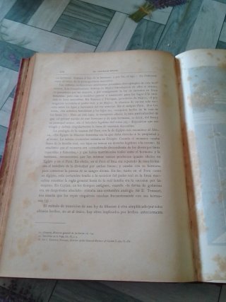 Libro El Universo Social