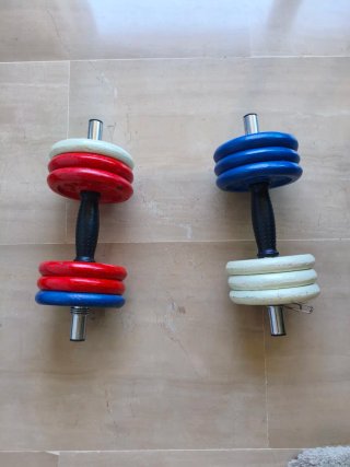 Mancuernas 6 kg cada una