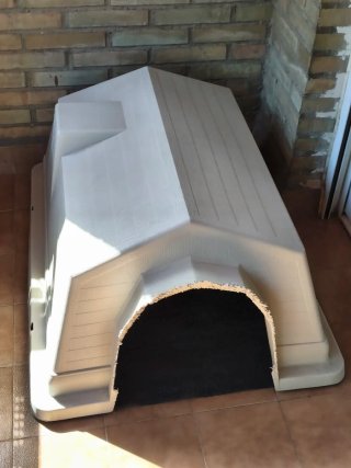 Caseta para perro