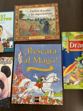 LOTE 5 LIBROS LITERATURA INFANTIL JUVENIL