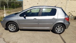 Peugeot 307 1.600 16V INYECCION