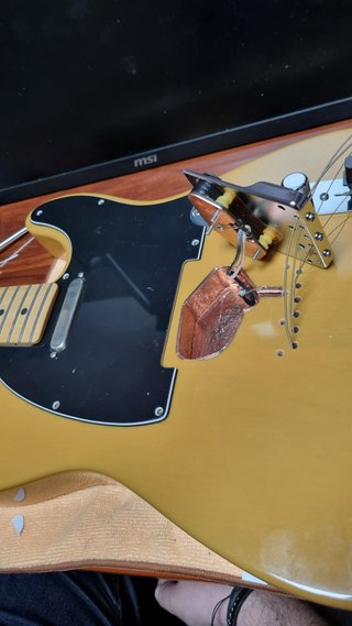 Fender Telecaster Player Butterscotch Blonde 2021