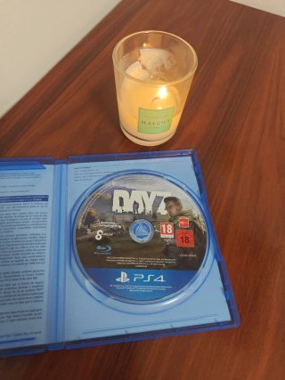 Day Z PS4 Juego
