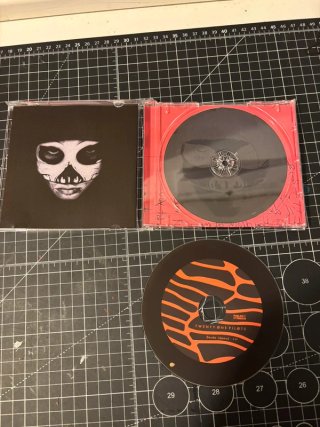 Twenty One Pilots - Doubt (demo) [Custom CD]