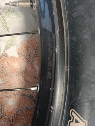 Rueda 29 Syncros Alexrims MD30 Disco Tektro Cubier