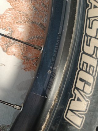 Rueda 29 Syncros Alexrims MD30 Disco Tektro Cubier