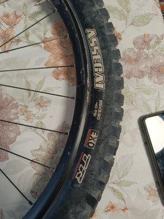 Rueda 29 Syncros Alexrims MD30 Disco Tektro Cubier