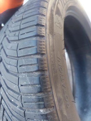 Pareja de Neumáticos Michelin