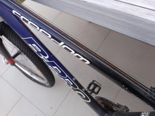 Bicicleta Freedom B Pro