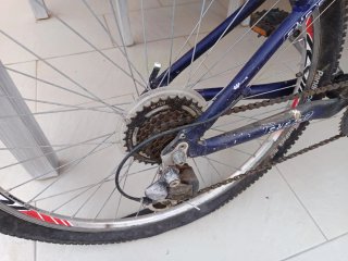 Bicicleta Freedom B Pro