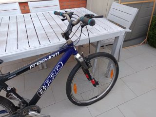 Bicicleta Freedom B Pro