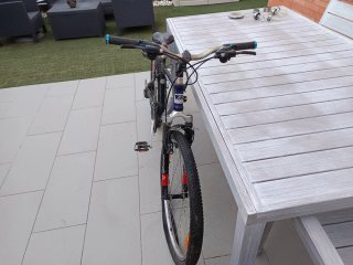Bicicleta Freedom B Pro