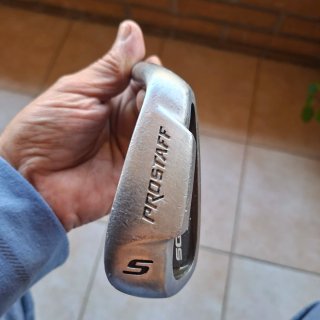 Palo de golf sw