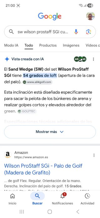 Palo de golf sw