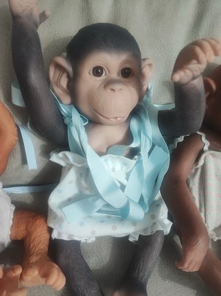 Bambole Scimmietta Reborn