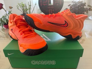 Zapatillas Nike Giannis Talla 41 Nuevas