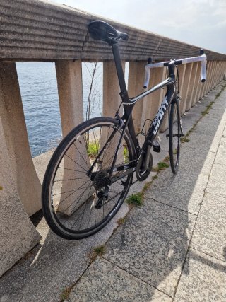 Bicicleta Giant TCR Advanced Carbono