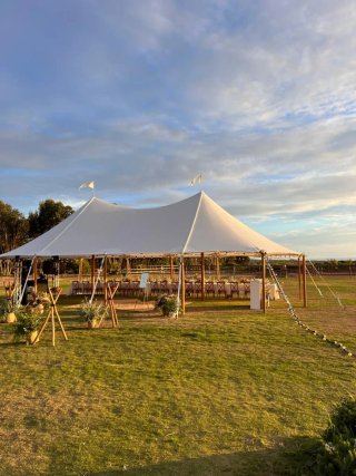 Alquiler Carpa  Blanca o Decorativa