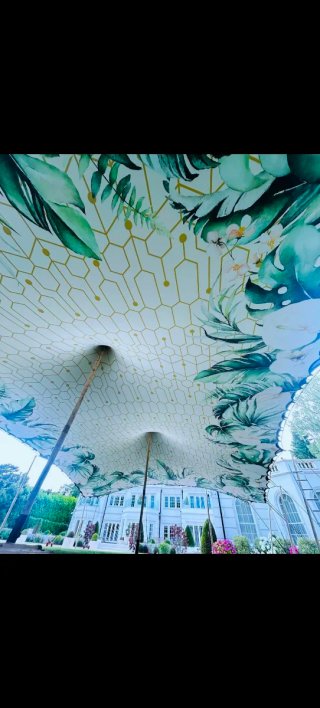 Alquiler Carpa  Blanca o Decorativa
