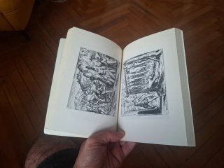 Libro: 'Árbol de odio'