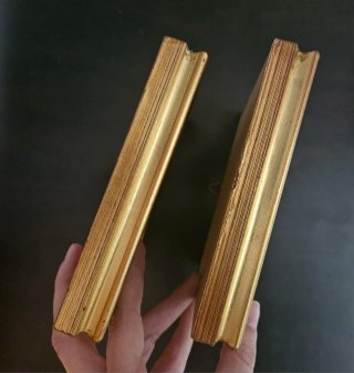 Set 2 Quadretti Composizioni Floreali Oro