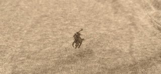REBECA CÁRDIGAN, POLO RALPH LAUREN, GRIS, TALLA L.