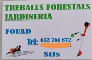 Servicios de Jardinería y Forestales