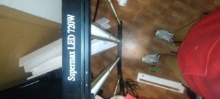 Led Cultivo 720W Black Panter