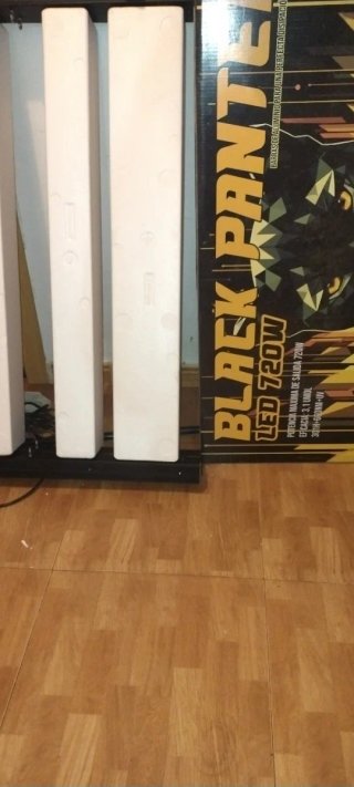 Led Cultivo 720W Black Panter