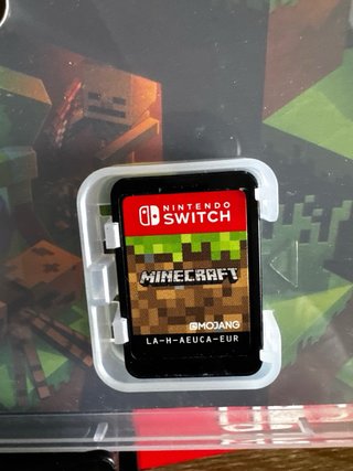 Minecraft Nintendo Switch