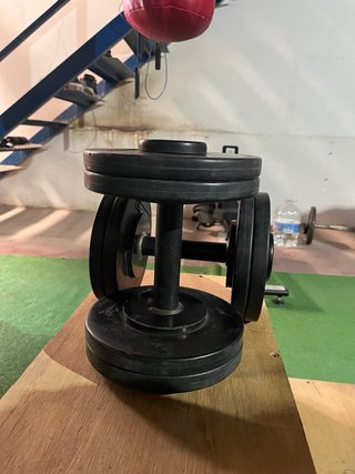 Par Mancuernas 10 kg Salter