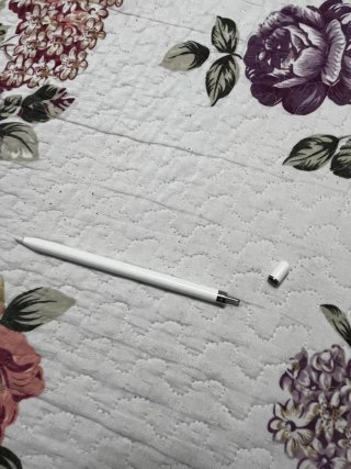 iPad 9ª Gen Plata y Apple pencil